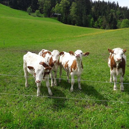 Villa Bio-Bauernhof Niederlehen Fieberbrunn Esterno foto